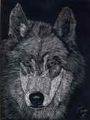 Wolf Tom.jpg (156033 bytes)