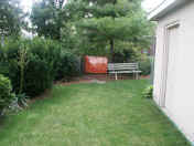 backyard july 2004.jpg (127394 bytes)