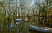 canoe-postcard.jpg (112847 bytes)