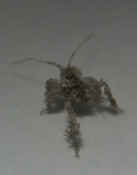 cropped weirdthing closeup of hind leg.jpg (88383 bytes)