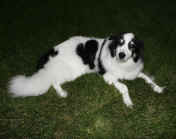darwin 9-2-06 laying down in rain looking forward 3.jpg (137067 bytes)