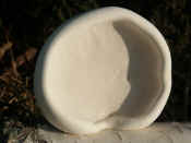 ear fungus resting moon shadow.jpg (95189 bytes)