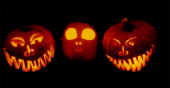 jackolanterns98.jpg (59793 bytes)