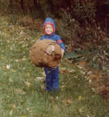 puffball 79.jpg (65345 bytes)