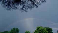 rainbow left side.jpg (157521 bytes)