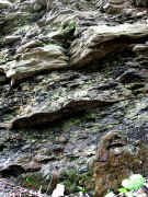 rocks and moss 2 adj.jpg (183484 bytes)