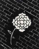 rose on bricks.jpg (156513 bytes)
