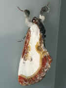 small calico moth side view.jpg (121058 bytes)